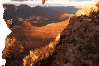 Arizona outlined